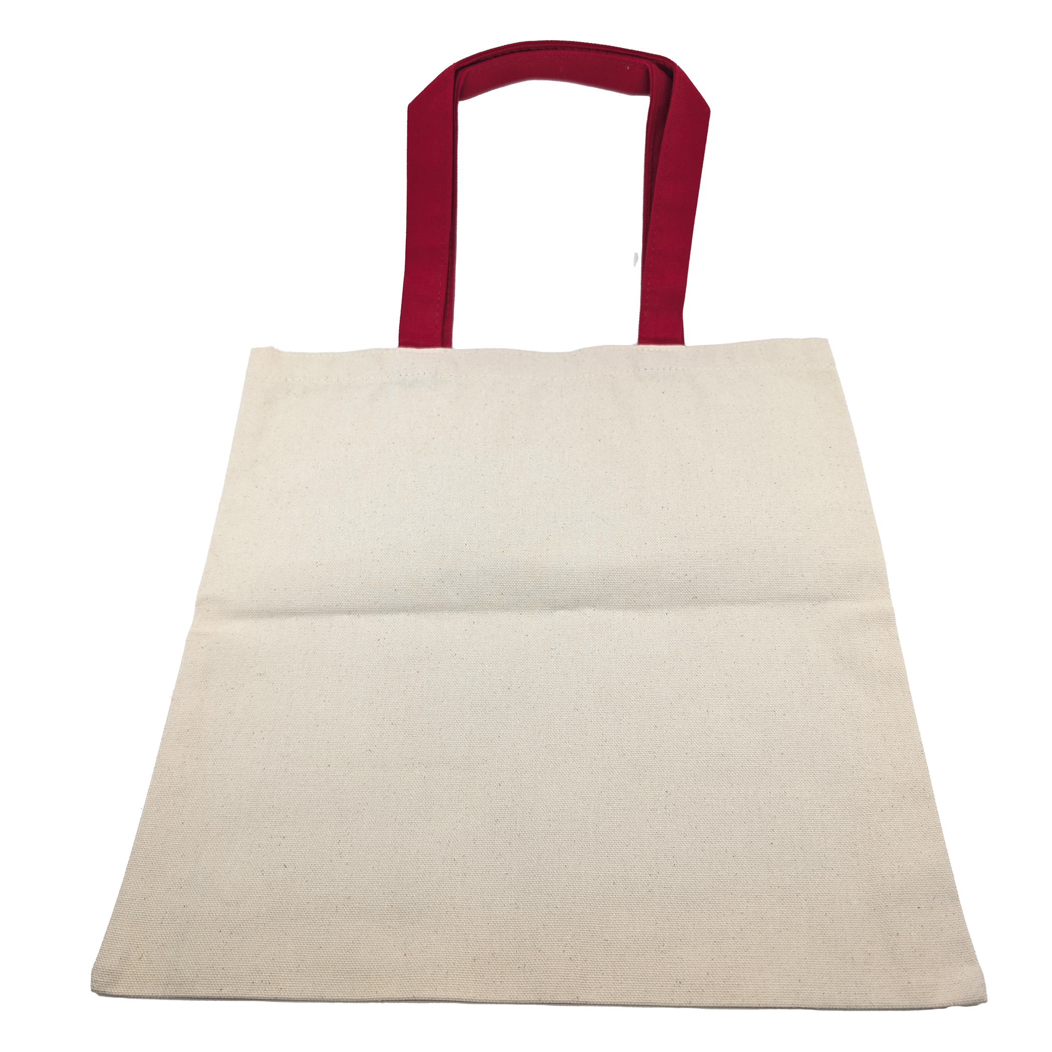 Dr. Dinosaur's FOOOD Tote!
