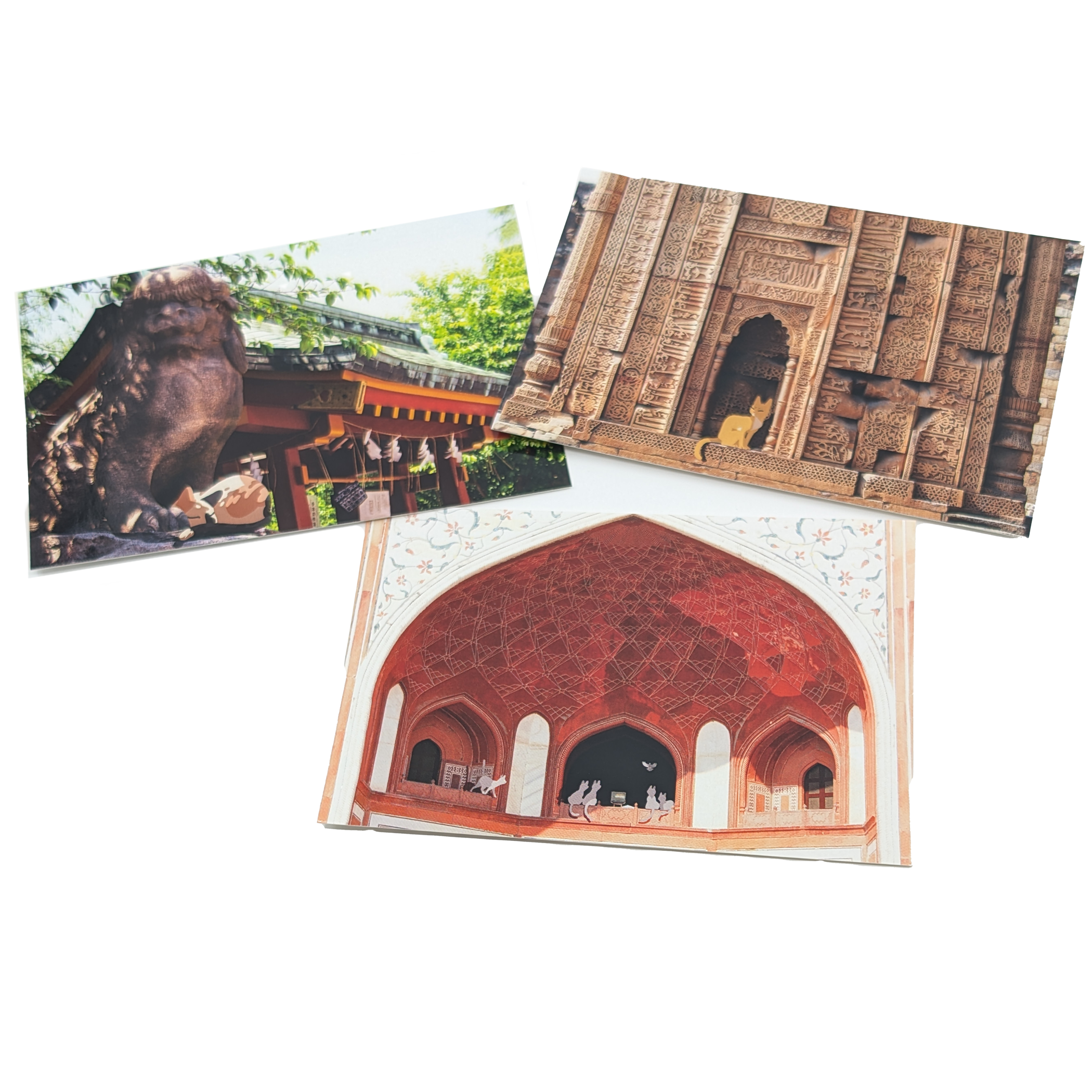 Cat Postcard Set