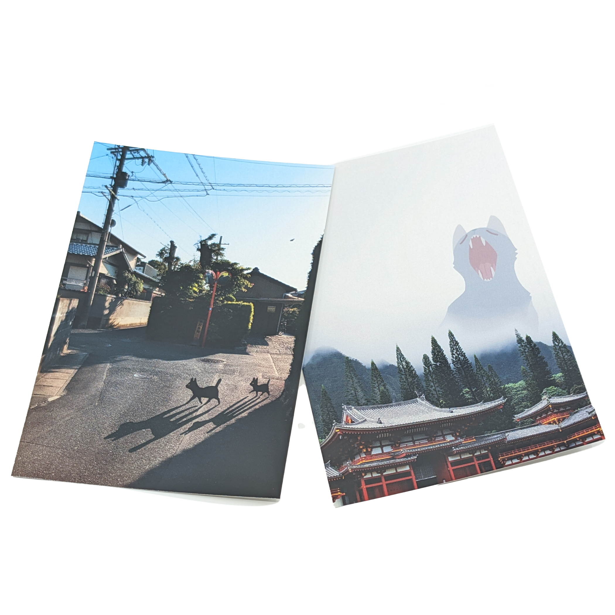 Cat Postcard Set