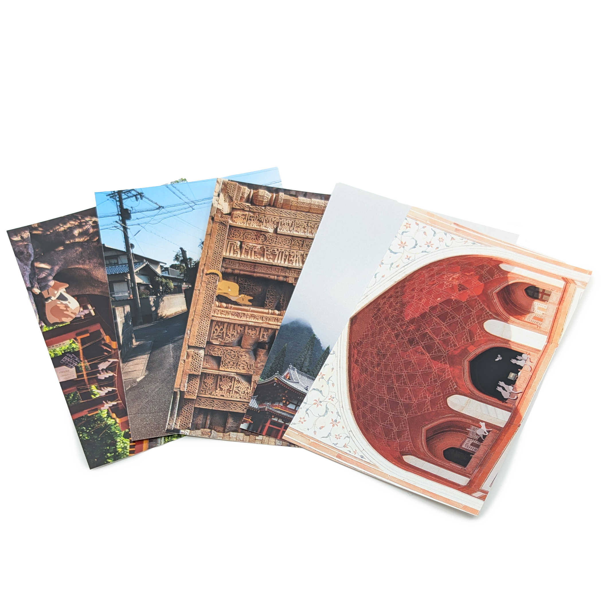 Cat Postcard Set